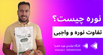 نوره چیست